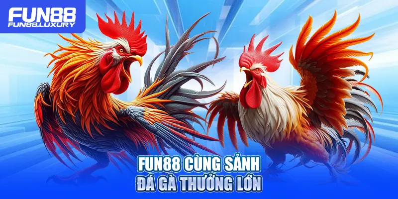 Fun88 cùng sảnh đá gà thưởng lớn